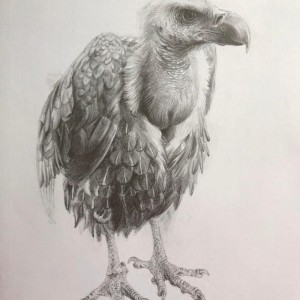 alt_1Güzel Sanatlara Hazırlık Kursu ve Resim Kursu » SANATHANE