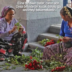 alt_1Güzel Sanatlara Hazırlık Kursu ve Resim Kursu » SANATHANE