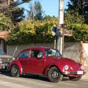 alt_1Güzel Sanatlara Hazırlık Kursu ve Resim Kursu » SANATHANE