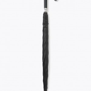 alt_1Güzel Sanatlara Hazırlık Kursu ve Resim Kursu » SANATHANE